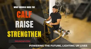 Unleashing Lower Leg Strength: The Power of Calf Raises