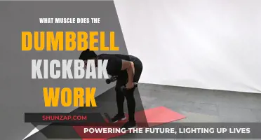 Dumbbell Kickback Muscles: Targeting Triceps and Upper Arm Strength