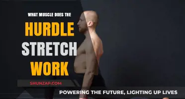 Hurdle Stretch Benefits: Targeting Key Muscles for Flexibility and Performance