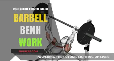 Incline Barbell Bench Press: Target Muscles and Benefits Explained