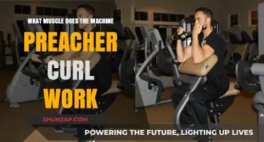 Machine Preacher Curl: Target Muscles and Workout Benefits Explained