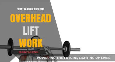Overhead Lift Muscles: Targeted Strength Training and Benefits Explained