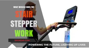 Stair Steppers: Target Muscles and Full-Body Benefits Explained
