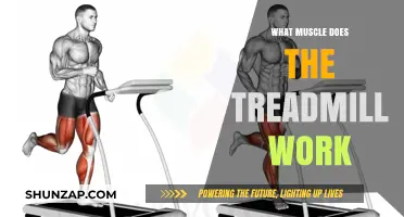 Treadmill Workout Benefits: Targeting Key Muscles for Fitness and Strength