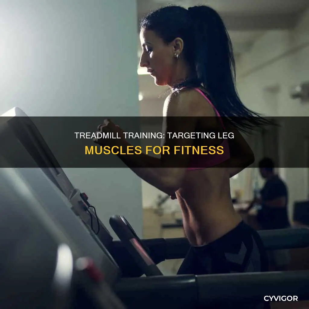 what muscle does the treadmill