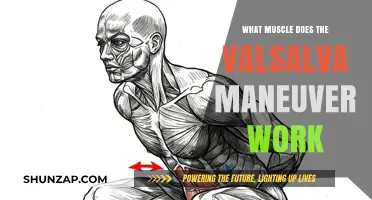 Valsalva Maneuver: Targeting Core Muscles for Strength and Stability