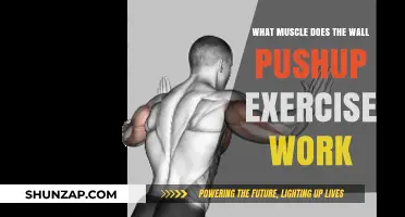 Wall Pushup Benefits: Targeted Muscles and Strength Training Explained