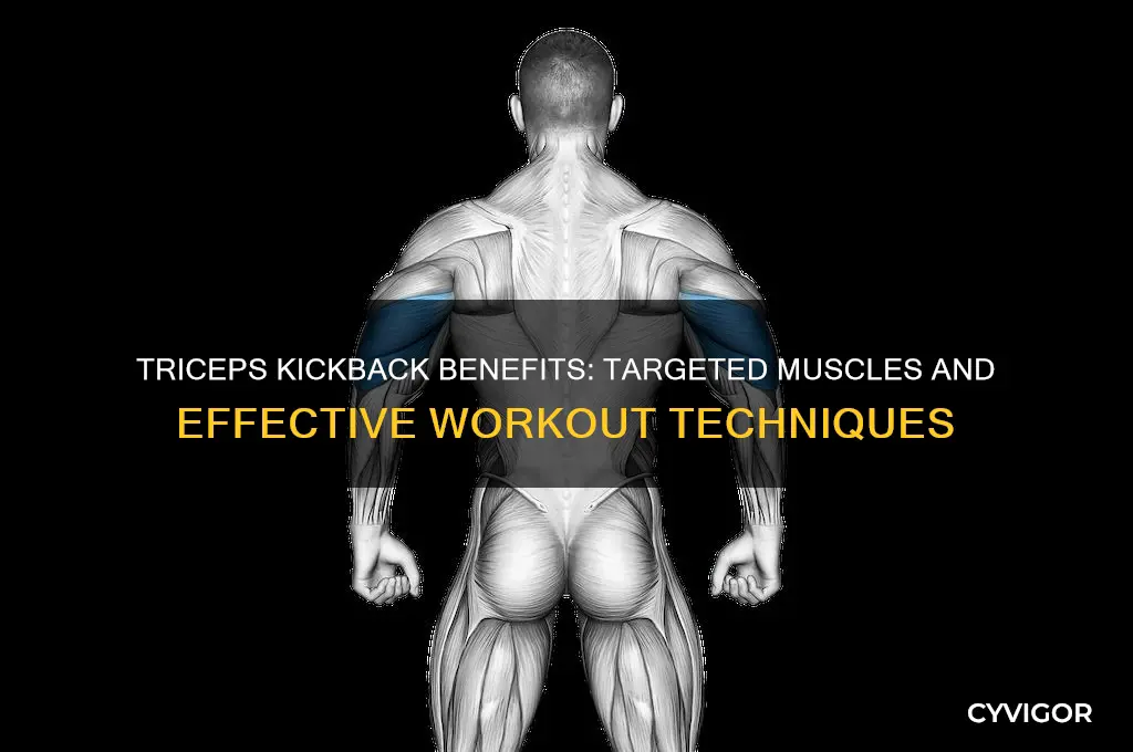 what muscle does triceps kick back work
