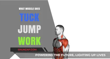 Tuck Jumps: Target Muscles and Full-Body Benefits Explained