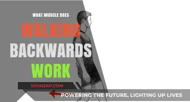 Walking Backwards: Unlocking Unique Muscle Benefits and Fitness Gains
