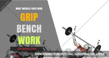 Wide Grip Bench Press: Target Muscles and Effective Techniques Explained