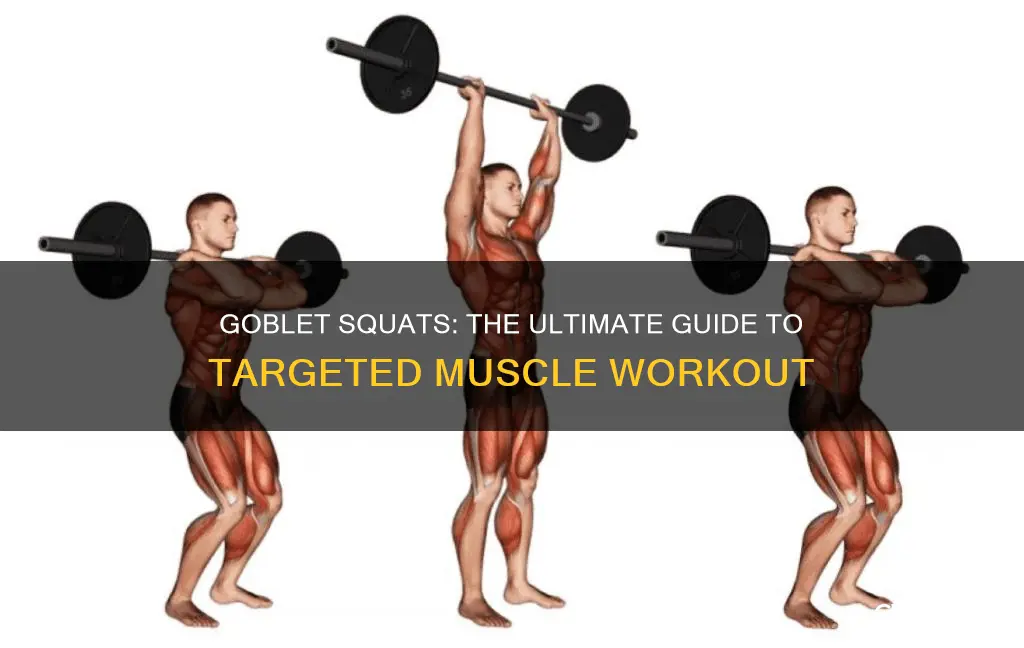 what muscle doesgoblet squat