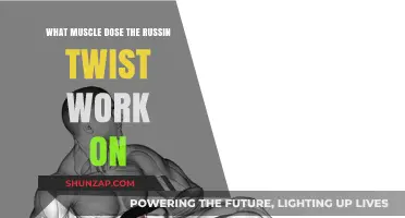 Russian Twist: Targeting Core Muscles for Strength and Stability