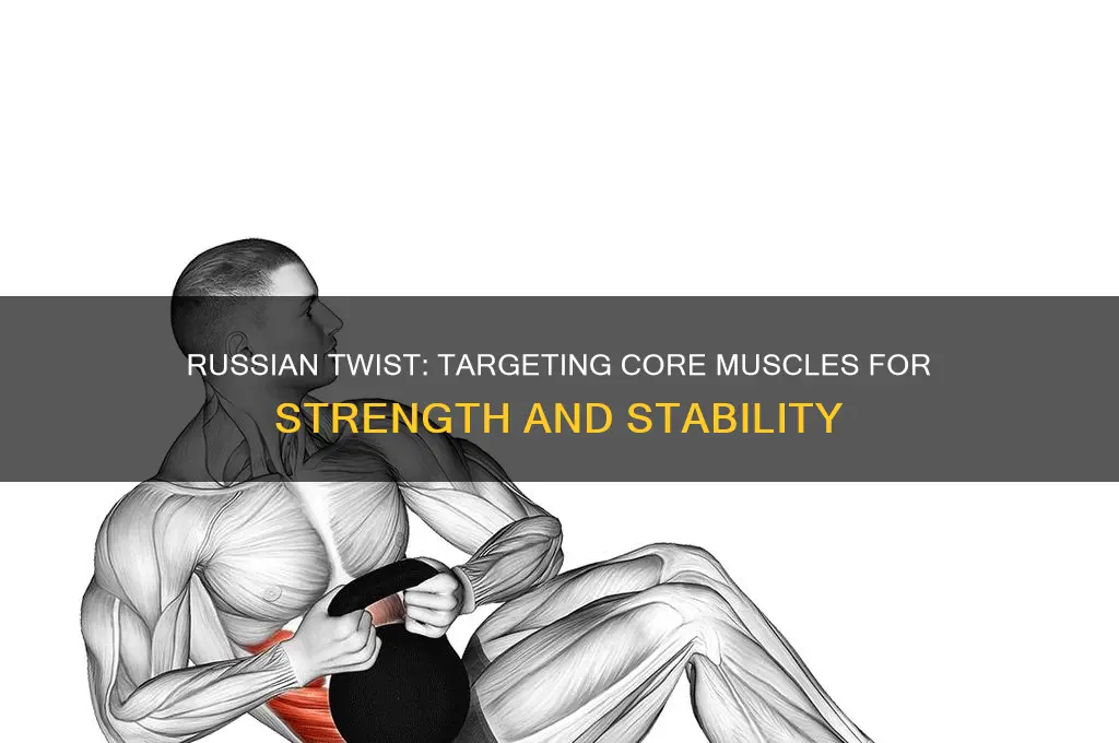 what muscle dose the russin twist work on