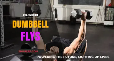 Dumbbell Flys: Which Muscles Are Targeted?