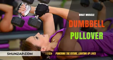 Dumbbell Pullover: Which Muscles Does This Exercise Target?