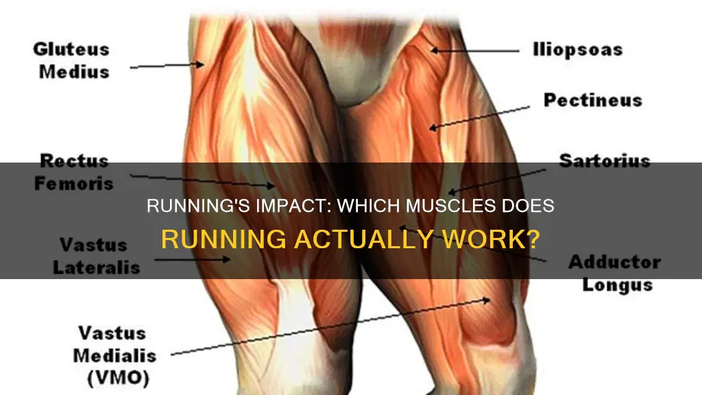 what muscle effected by running