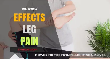 Muscles Linked to Leg Pain: Causes, Symptoms, and Relief Strategies
