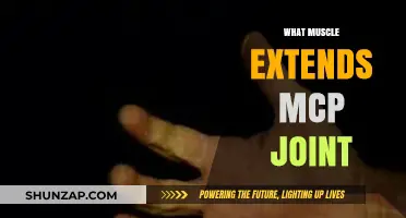 Flexing Your Knowledge: MCP Extension Muscles
