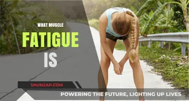 Understanding Muscle Fatigue: Causes and Effects