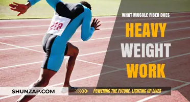 Heavy Weight Training: Unlocking Type II Muscle Fiber Growth