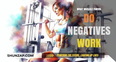 How Negative Reps Target and Strengthen Muscle Fibers Effectively