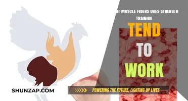 Strength Training: Targeting Fast-Twitch vs. Slow-Twitch Muscle Fibers
