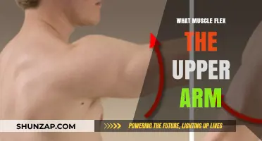 Upper Arm Flexion: Muscles That Bend and Strengthen Your Arm