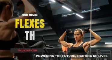 The Muscle Behind Your Thumb Flex