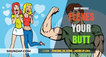 Gluteal Muscles: Flexing Your Buttocks Powerfully
