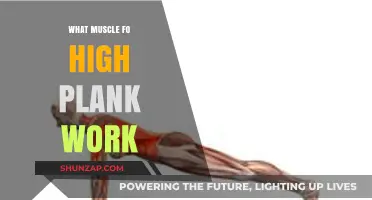 High Plank Power: Unlocking Core, Shoulder, and Leg Muscles