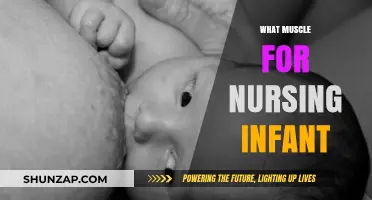 Breastfeeding and Muscle Development in Infants