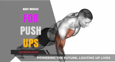Push-Up Power: Targeting Your Chest and Arms