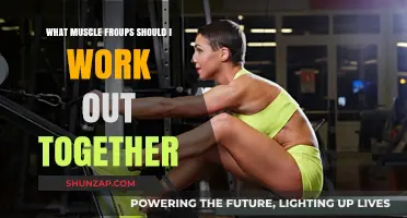 Effective Muscle Group Pairings for Optimal Workout Results and Efficiency