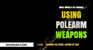 Polearm Power: Muscles Engaged in Wielding Long-Reach Weapons