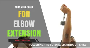 Unlocking Elbow Extension: The Tricep's Role in Arm Straightening