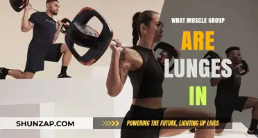 Lunges: Targeting Lower Body Muscles for Strength and Stability