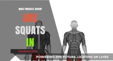 Squats: Targeting Key Muscle Groups for Strength and Stability
