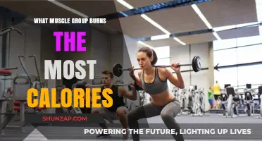 Maximize Calorie Burn: Discover the Most Efficient Muscle Groups