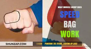 Speed Bag Workout: Targeting Muscles for Speed and Coordination