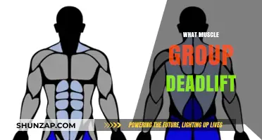 Deadlift Muscle Groups: Unlocking Full-Body Strength and Power