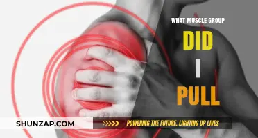 Identifying Pulled Muscles: Understanding Which Muscle Group You Injured