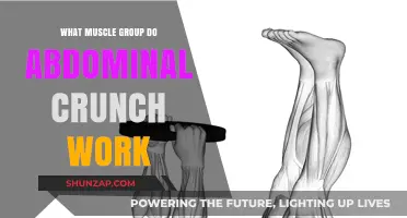 Abdominal Crunches: Targeting Core Muscles for Strength and Stability