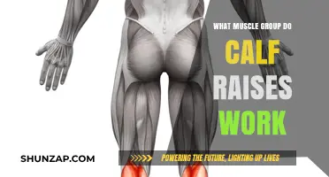 Calf Raises: Targeting Lower Leg Muscles for Strength and Definition