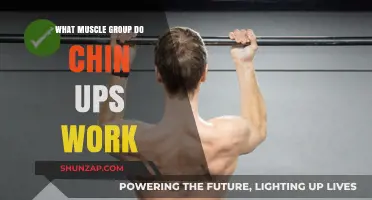 Chin Ups: Targeting Back, Biceps, and Core Muscles Effectively