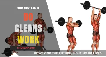 Cleans Workout: Targeted Muscle Groups and Benefits Explained