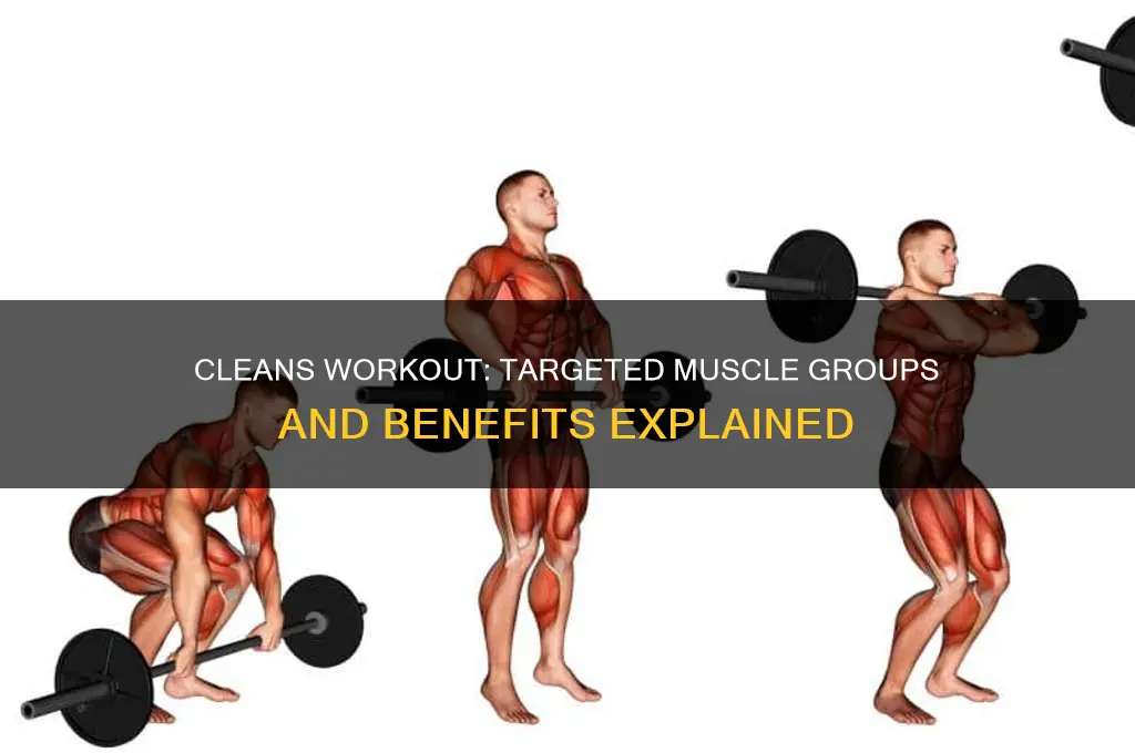 what muscle group do cleans work