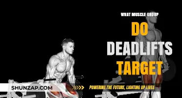Deadlifts: Unlocking Full-Body Strength and Targeted Muscle Activation