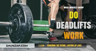 Deadlifts: Unlocking Full-Body Strength and Targeted Muscle Engagement
