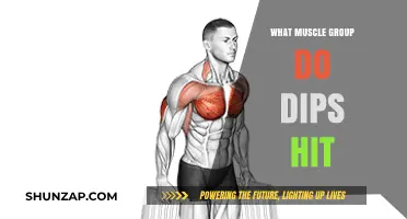 Dips Workout: Targeting Triceps, Chest, and Shoulder Muscles Effectively